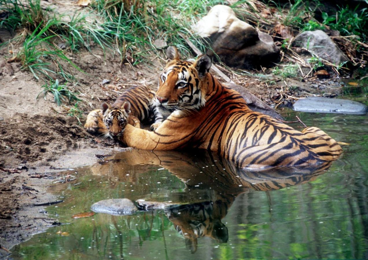 Kanha Village Eco Resort Luaran gambar